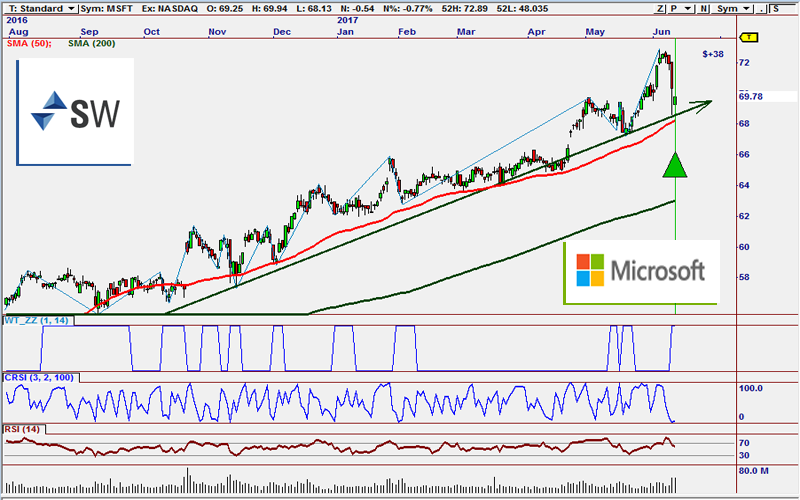 Guppy CBL Classic MSFT 